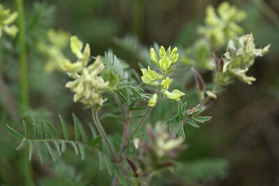 BUITEN BEELD Foto: 445077