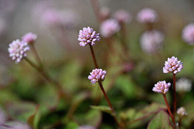 BUITEN BEELD Foto: 445078