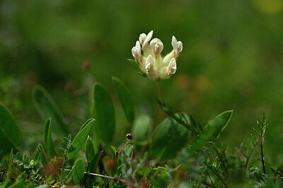 BUITEN BEELD Foto: 445084