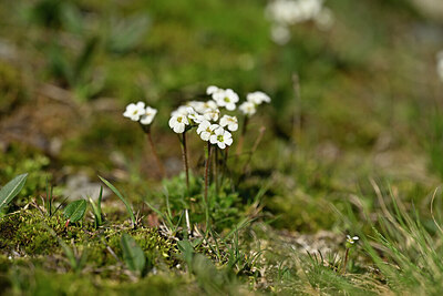 BUITEN BEELD Foto: 445101