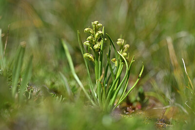 BUITEN BEELD Foto: 445105
