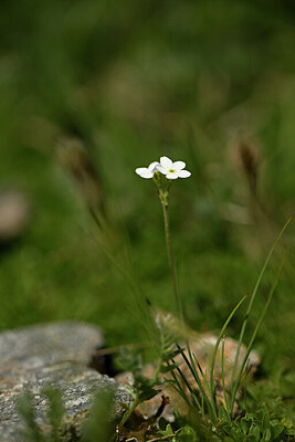 BUITEN BEELD Foto: 445109