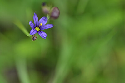 BUITEN BEELD Foto: 445138
