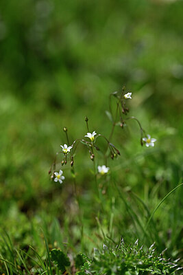 BUITEN BEELD Foto: 445144
