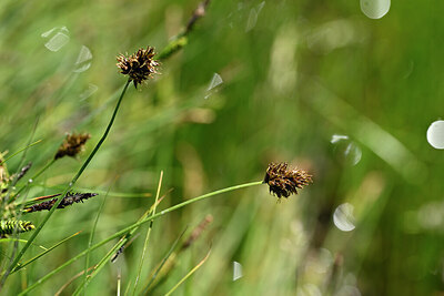 BUITEN BEELD Foto: 445149