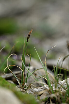BUITEN BEELD Foto: 445154