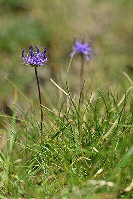 BUITEN BEELD Foto: 445161