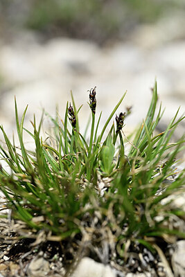 BUITEN BEELD Foto: 445167