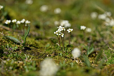 BUITEN BEELD Foto: 445174
