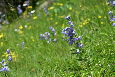BUITEN BEELD Foto: 445183