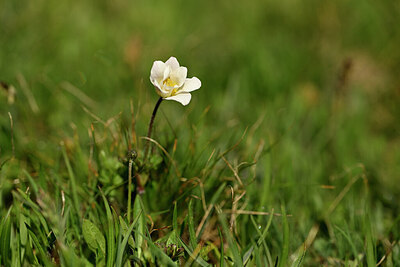 BUITEN BEELD Foto: 445184