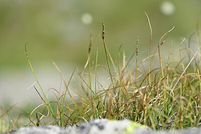 BUITEN BEELD Foto: 445191