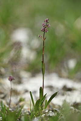 BUITEN BEELD Foto: 445203