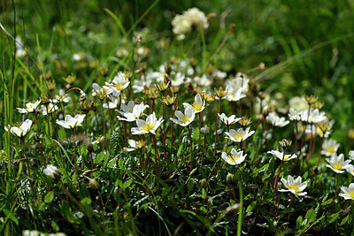 BUITEN BEELD Foto: 445208