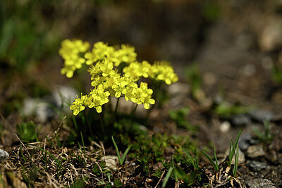 BUITEN BEELD Foto: 445212