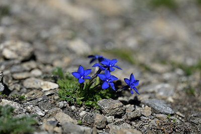 BUITEN BEELD Foto: 445214