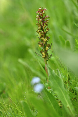 BUITEN BEELD Foto: 445217