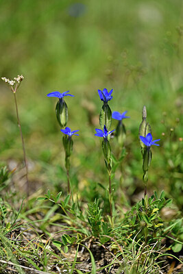 BUITEN BEELD Foto: 445220