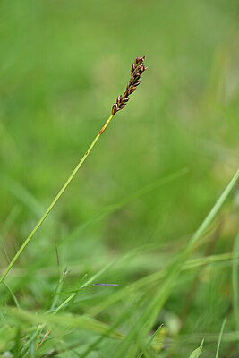 BUITEN BEELD Foto: 445223