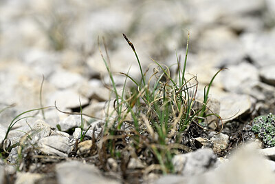 BUITEN BEELD Foto: 445225