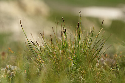 BUITEN BEELD Foto: 445230