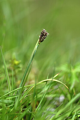 BUITEN BEELD Foto: 445239