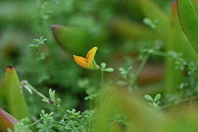 BUITEN BEELD Foto: 445265