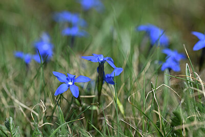 BUITEN BEELD Foto: 445269