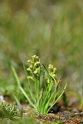 BUITEN BEELD Foto: 445274