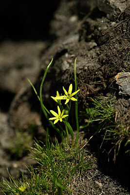 BUITEN BEELD Foto: 445281