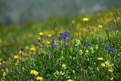 BUITEN BEELD Foto: 445289