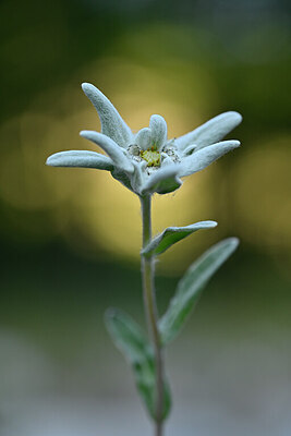 BUITEN BEELD Foto: 445291