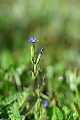 BUITEN BEELD Foto: 445304