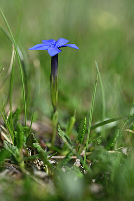 BUITEN BEELD Foto: 445345