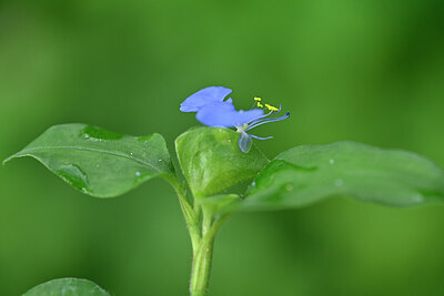 BUITEN BEELD Foto: 445365