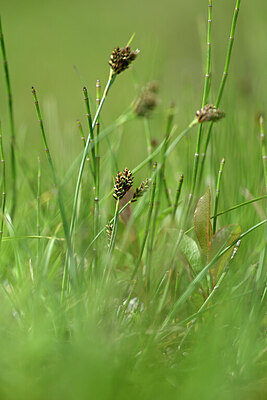 BUITEN BEELD Foto: 445370