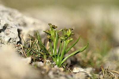 BUITEN BEELD Foto: 445386