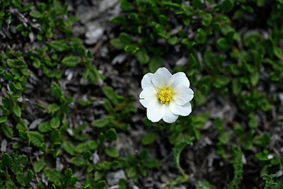 BUITEN BEELD Foto: 445408