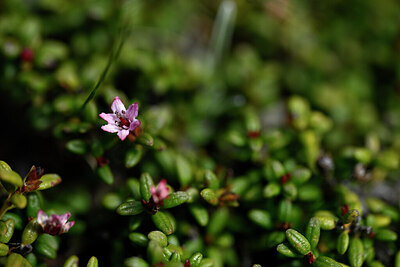 BUITEN BEELD Foto: 445429