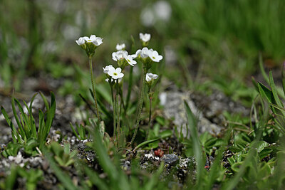 BUITEN BEELD Foto: 445433