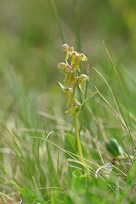 BUITEN BEELD Foto: 445437