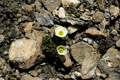BUITEN BEELD Foto: 445457