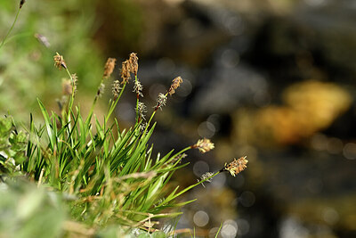 BUITEN BEELD Foto: 445466