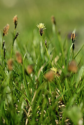 BUITEN BEELD Foto: 445481