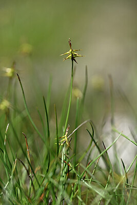 BUITEN BEELD Foto: 445491