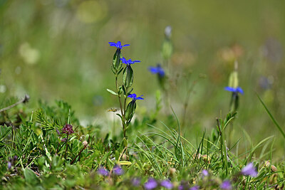 BUITEN BEELD Foto: 445502