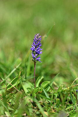 BUITEN BEELD Foto: 445513