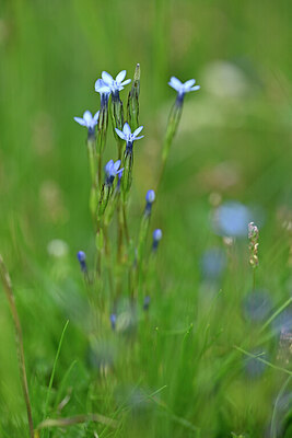 BUITEN BEELD Foto: 445529