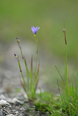 BUITEN BEELD Foto: 445542