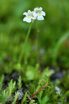 BUITEN BEELD Foto: 445550